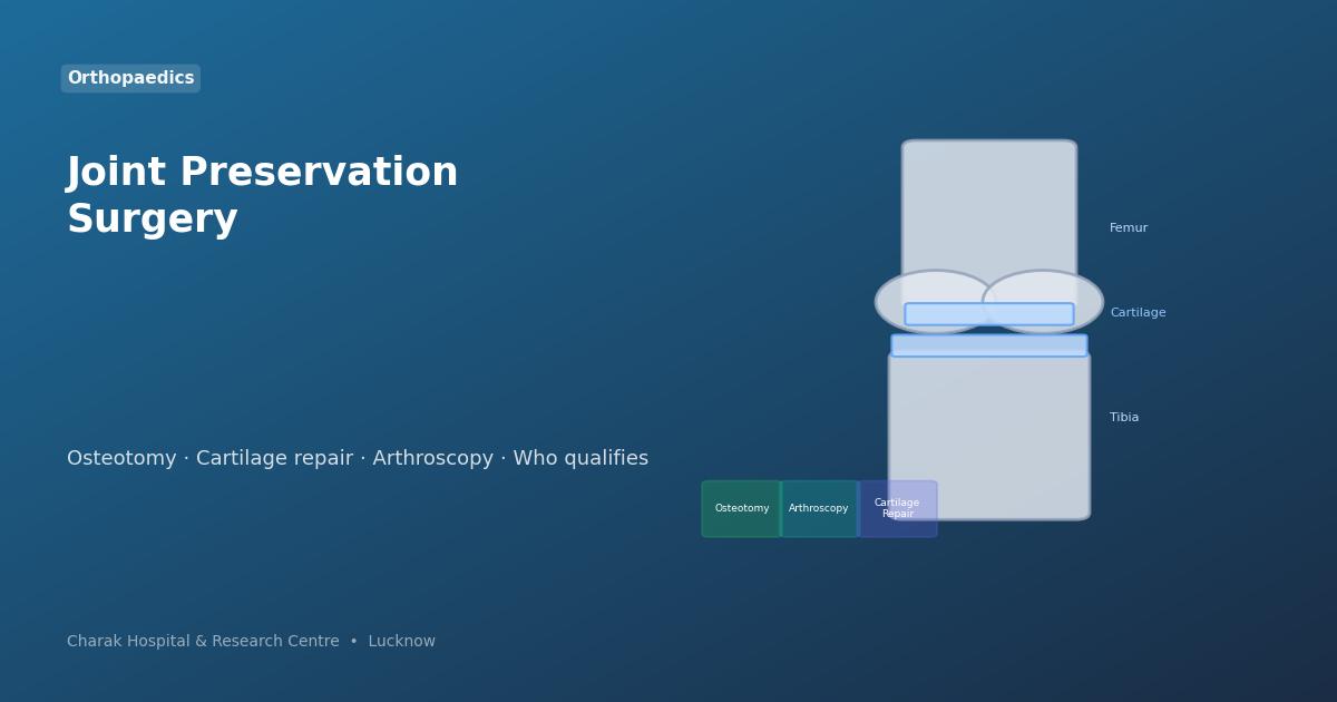 Knee joint preservation surgery anatomy — Charak Hospital Lucknow